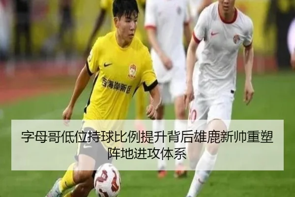 字母哥低位持球比例提升背后雄鹿新帅重塑阵地进攻体系